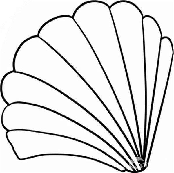 紧扣的贝壳的简笔画怎么画 紧扣的贝壳简笔画顺序