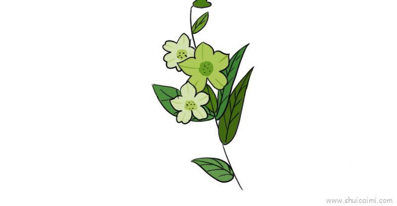 烟草花儿童画怎么画 烟草花简笔画步骤
