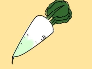 白萝卜简笔画 白萝卜简笔画图片