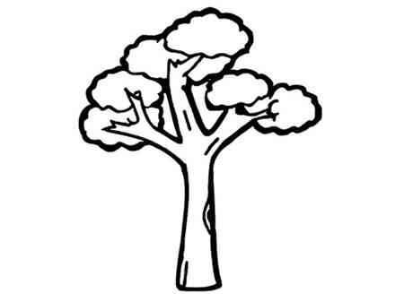一棵大树简笔画 一棵大树简笔画松树