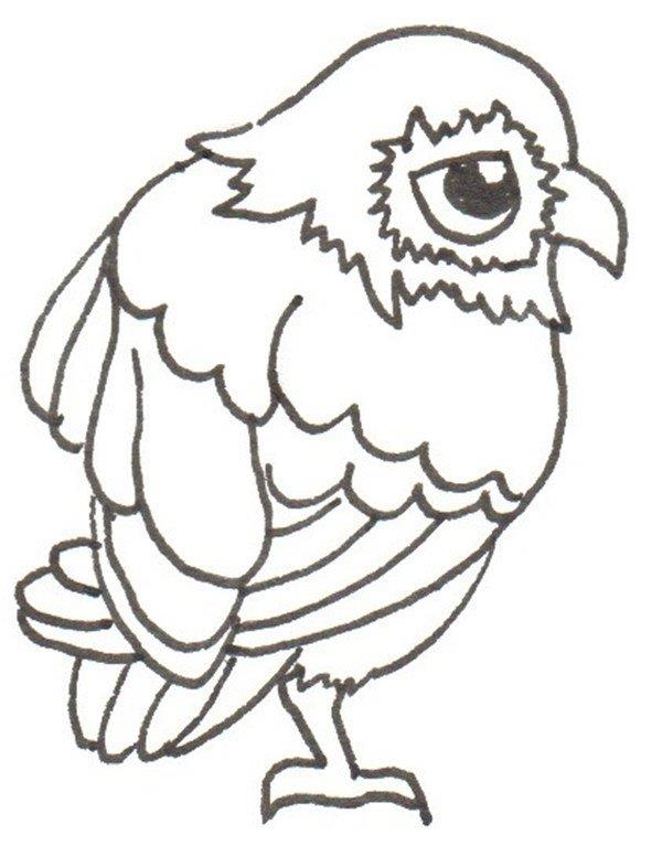 鹰的简笔画怎么画 鹰的简笔画图片