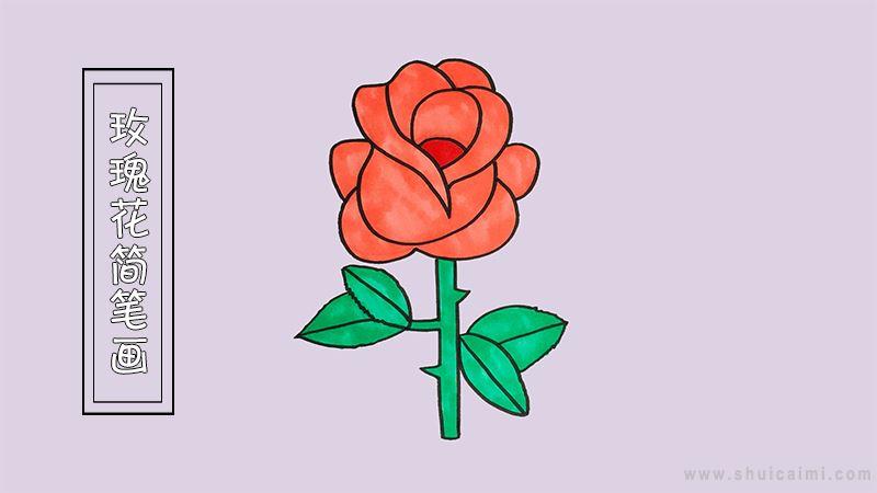 玫瑰花简笔画怎么画 玫瑰花简笔画图片大全