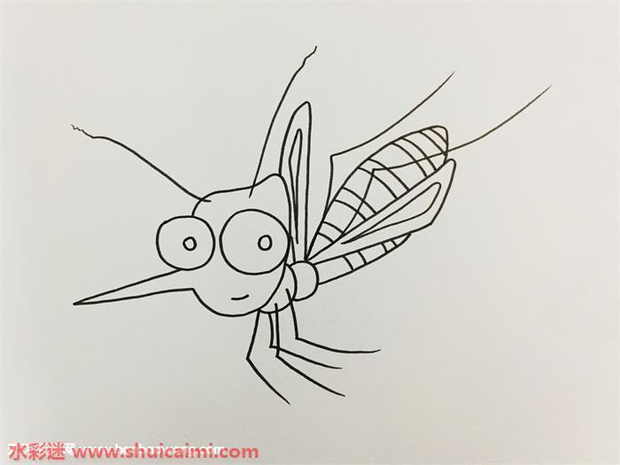 蚊子怎么画 蚊子简笔画图片带颜色