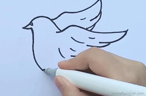鸽子儿童画怎么画 鸽子简笔画画法