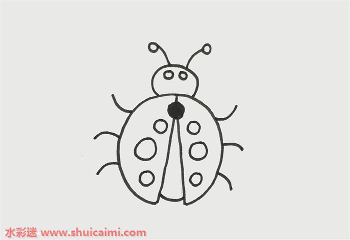 瓢虫怎么画 瓢虫简笔画简单又漂亮彩色