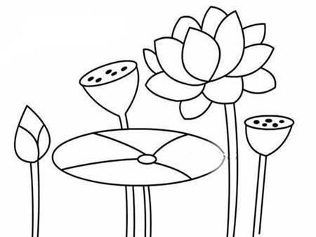 莲花简笔画 莲花简笔画简单又好看