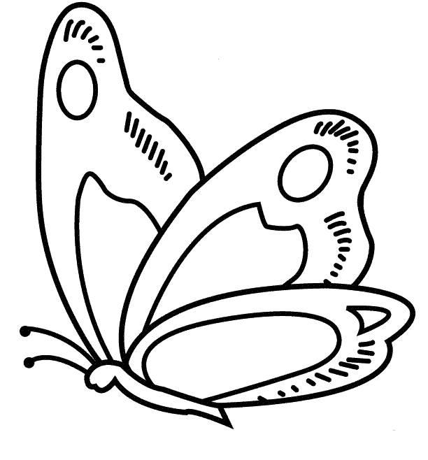蝴蝶图片简笔画 蝴蝶简笔画怎么画