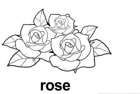 花丛简笔画 花丛简笔画彩色