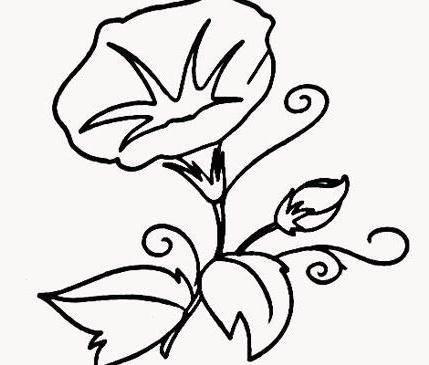 简笔画植物 简笔画植物图片大全