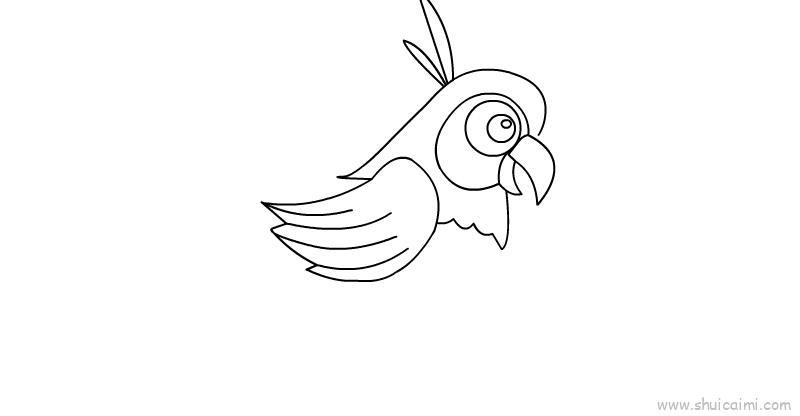 鹦鹉儿童画怎么画 鹦鹉简笔画简单又好看