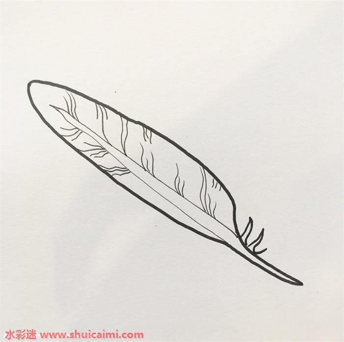 羽毛怎么画 羽毛简笔画步骤