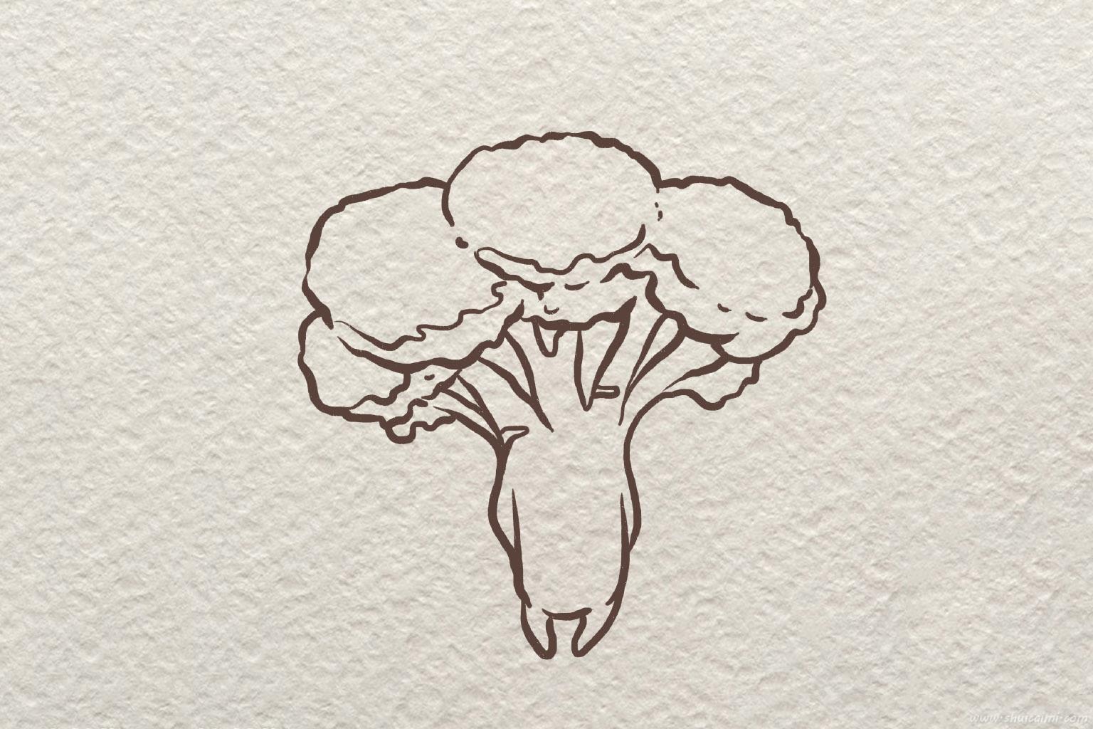 可爱的卡通西兰花简笔画绘画上色教程