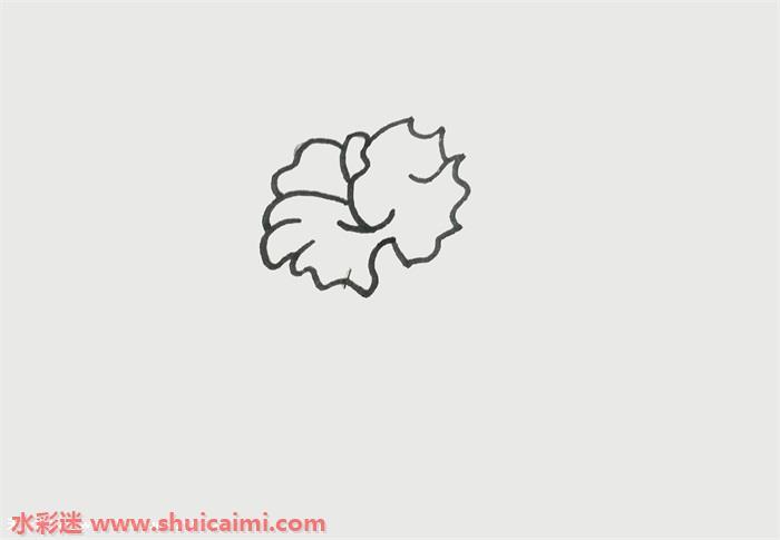 木棉花怎么画 木棉花简笔画简单彩色