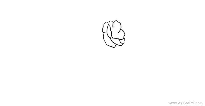 虞美人儿童画怎么画 虞美人简笔画图片