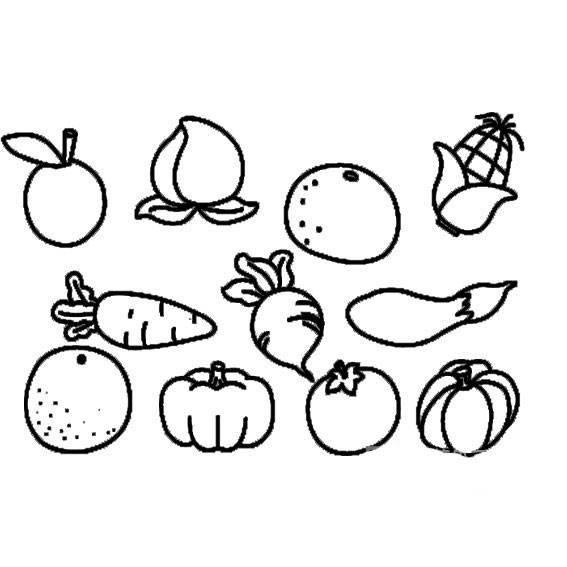 蔬菜简笔画 蔬菜简笔画图片带颜色