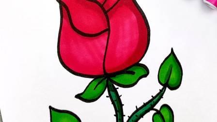 画玫瑰花的简笔画 画玫瑰花的简笔画一朵