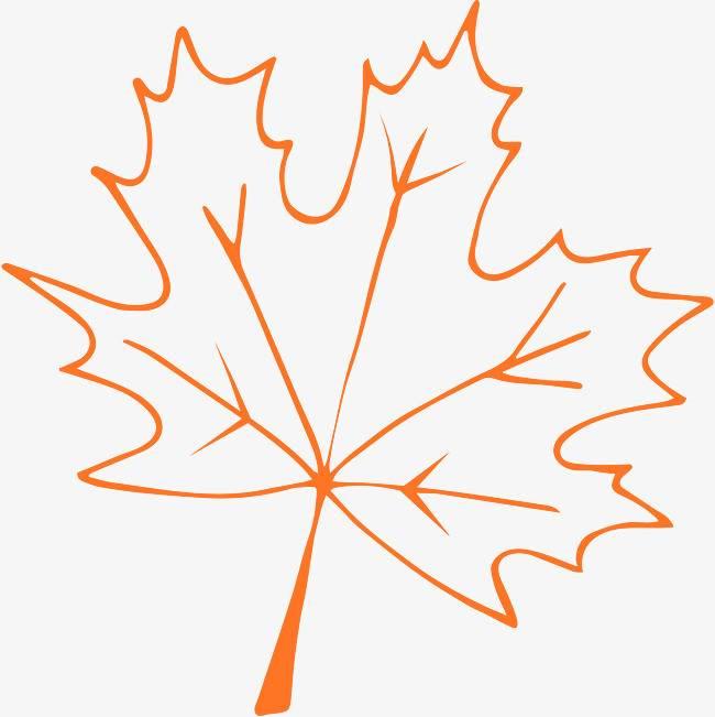 枫叶简笔画 枫叶简笔画图片大全