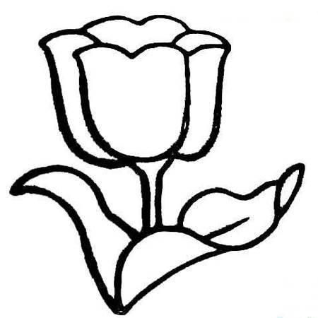 花简笔画 花简笔画图片大全