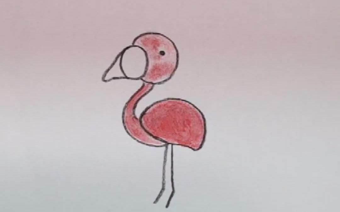 火烈鸟简笔画 火烈鸟简笔画图片