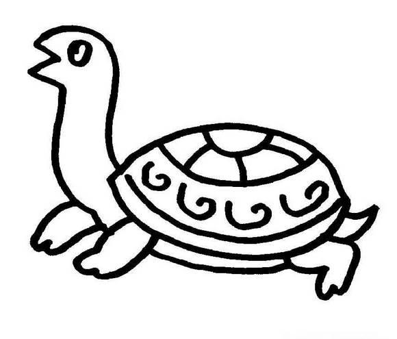 乌龟简笔画图片 乌龟简笔画图片大全可爱
