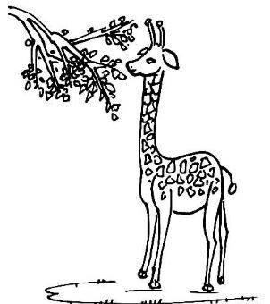 长颈鹿简笔画 长颈鹿简笔画图片大全