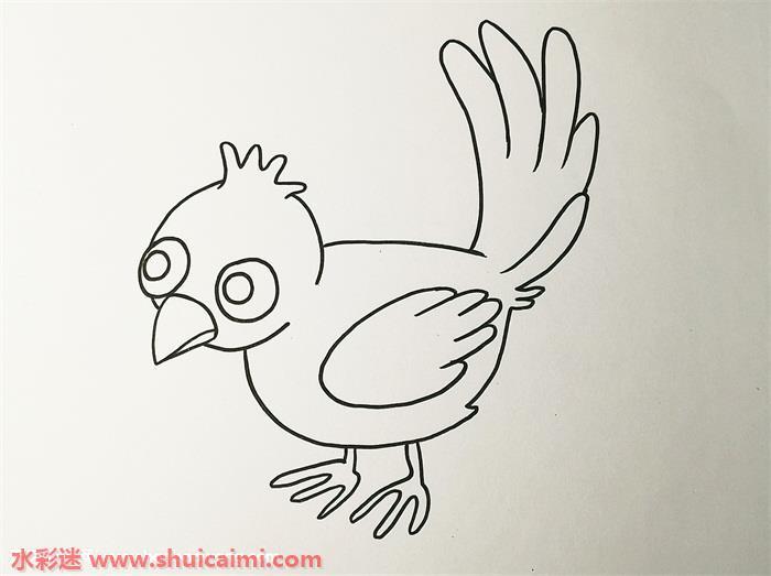小鸟怎么画 小鸟简笔画步骤图