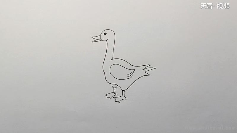 鸭子简笔画怎么画 鸭子简笔画简单又好看