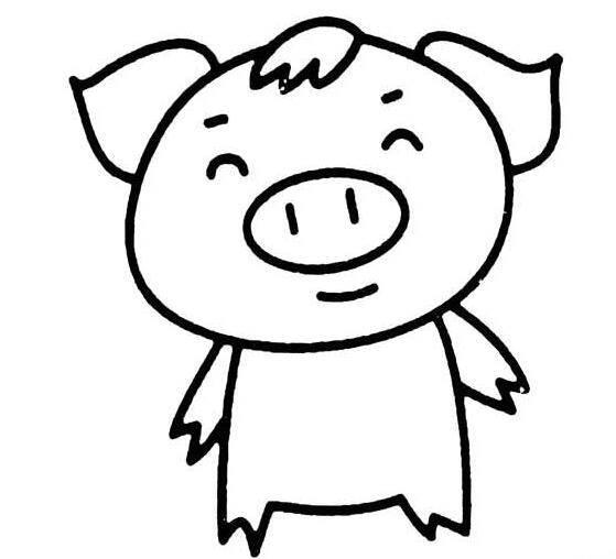 小猪简笔画 小猪简笔画简单又漂亮