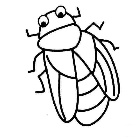 昆虫简笔画 昆虫简笔画大全带颜色