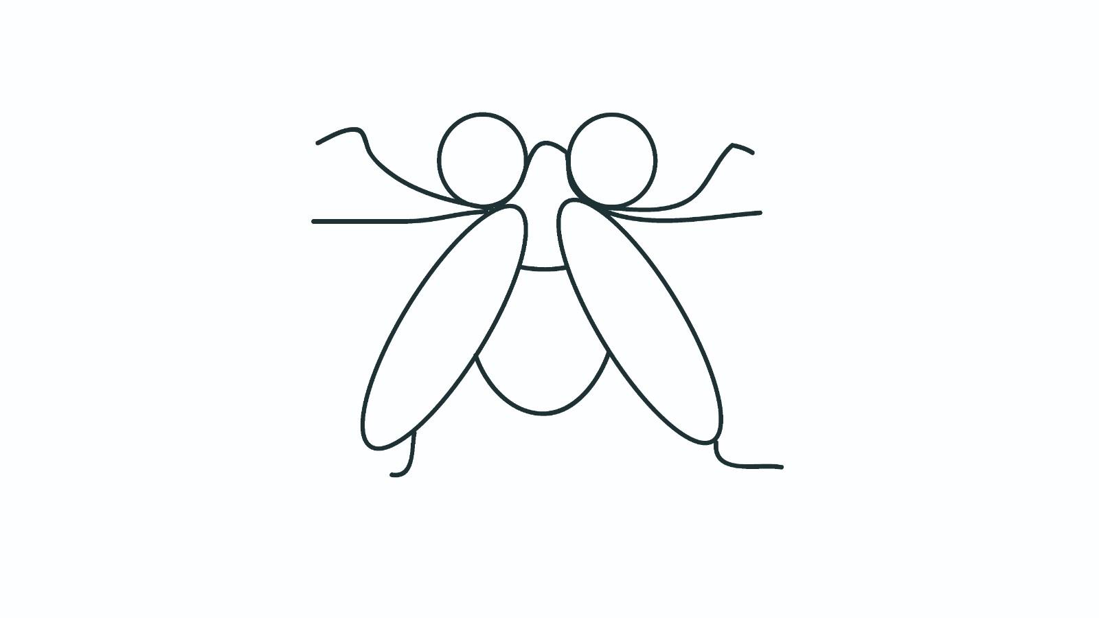 苍蝇的简笔画怎么画 苍蝇简笔画简单又好看