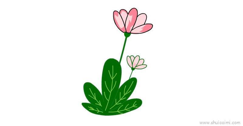 植物儿童画怎么画 植物简笔画简单绘画教程