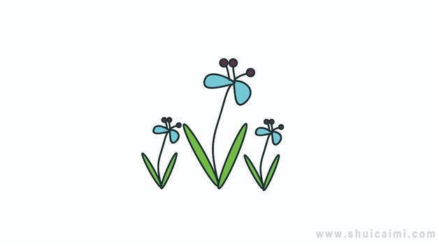 花草类简笔画怎么画 花草类简笔画顺序