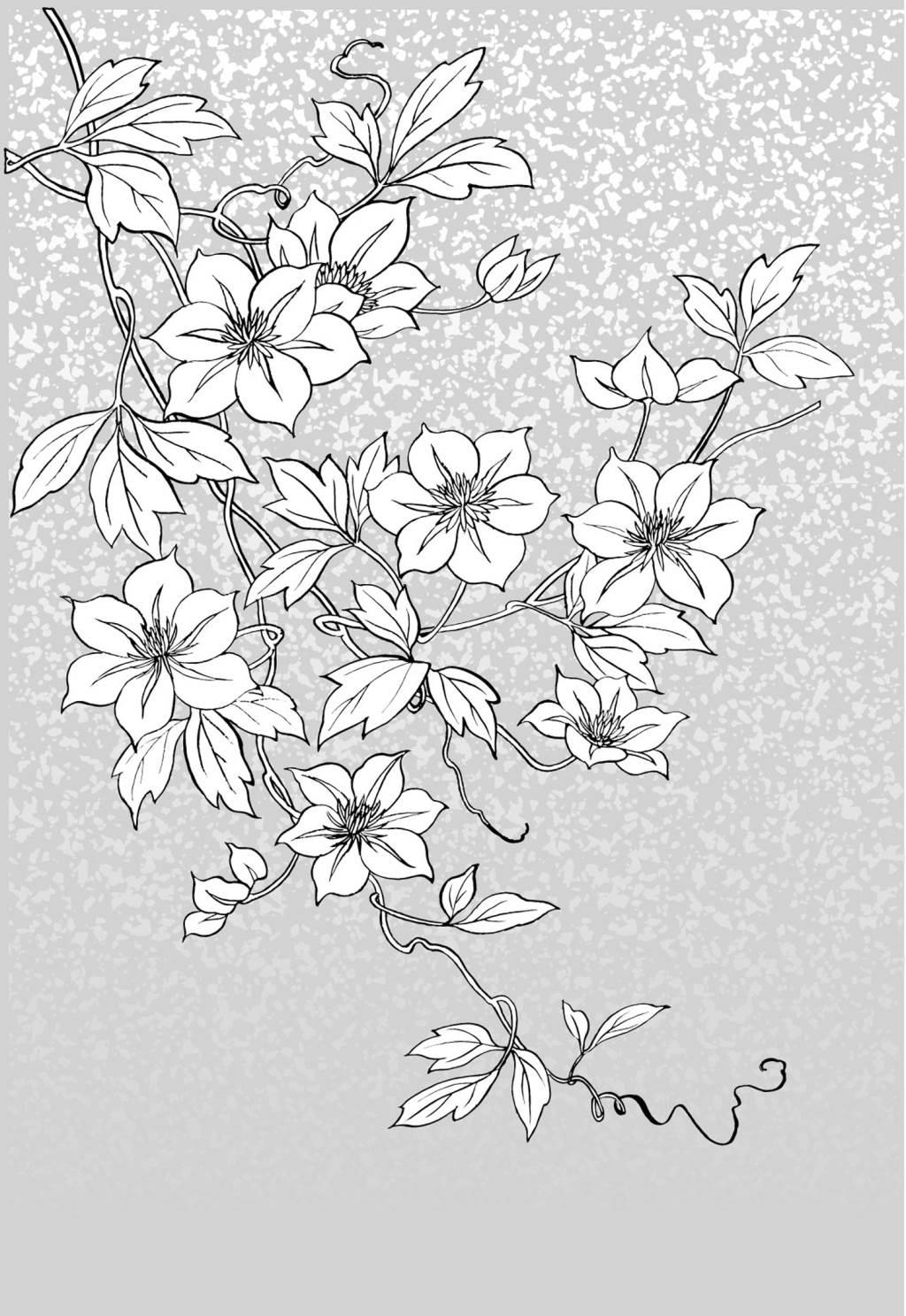 花丛简笔画 花丛简笔画彩色