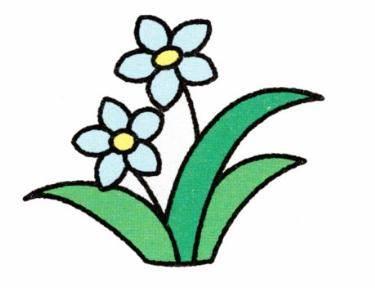 花草简笔画图片大全 儿童画花草简笔画图片大全