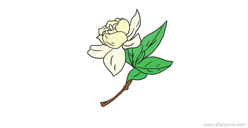 栀子花儿童画怎么画 栀子花简笔画画法