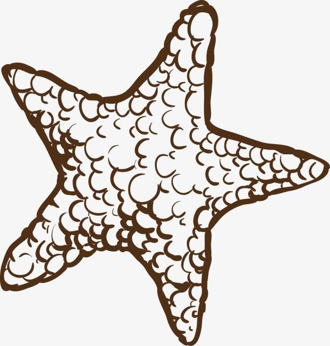 海星简笔画 海星简笔画彩色