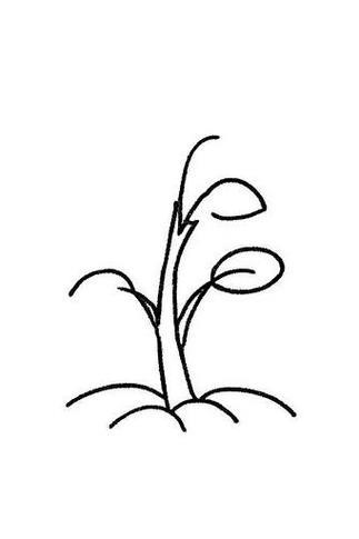 发芽的小树简笔画