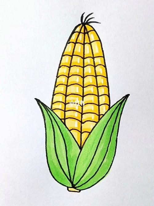 简笔画手绘可爱简笔画玉米
