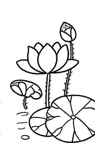 莲花简笔画来啦超简单哦