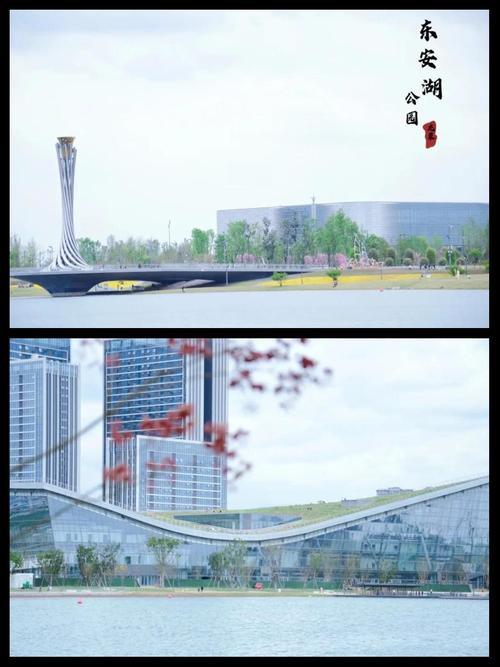 东安湖绿意浓火炬塔惊艳到