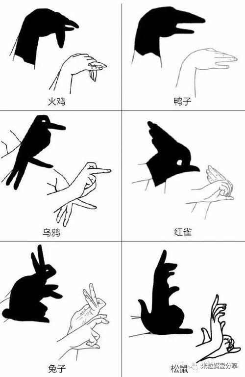超棒的手影游戏赶紧带孩子玩起来吧
