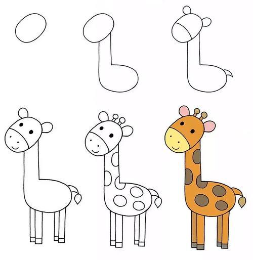 零基础动物简笔画教程