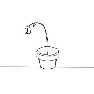 植物枯萎图片植物枯萎素材植物枯萎插画摄图新视界