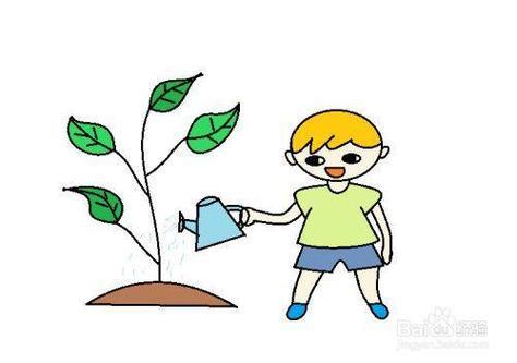 小男孩给植物浇水简笔画