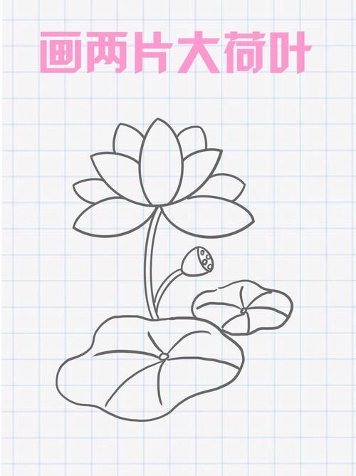 按照我的方法一学就会而且画出来荷花简笔画荷花简笔画简单简笔画