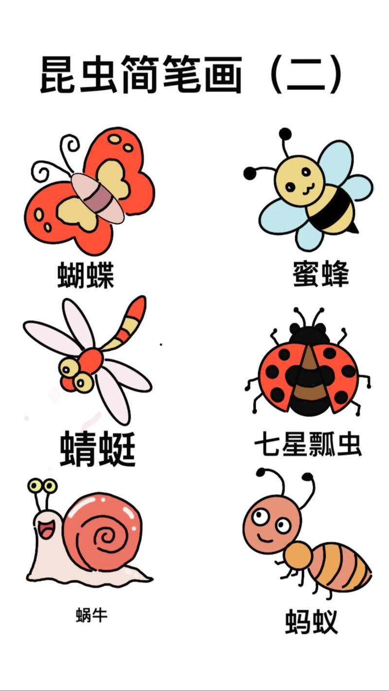 昆虫简笔画第二集教程创作灵感简笔画昆虫儿童画抖音