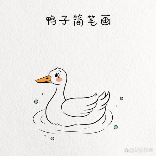 每日一画画动物鸭子简笔画教程
