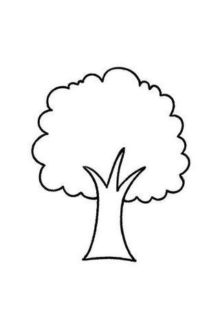 小树发芽简笔画