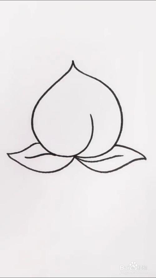 桃子的简笔画如何画