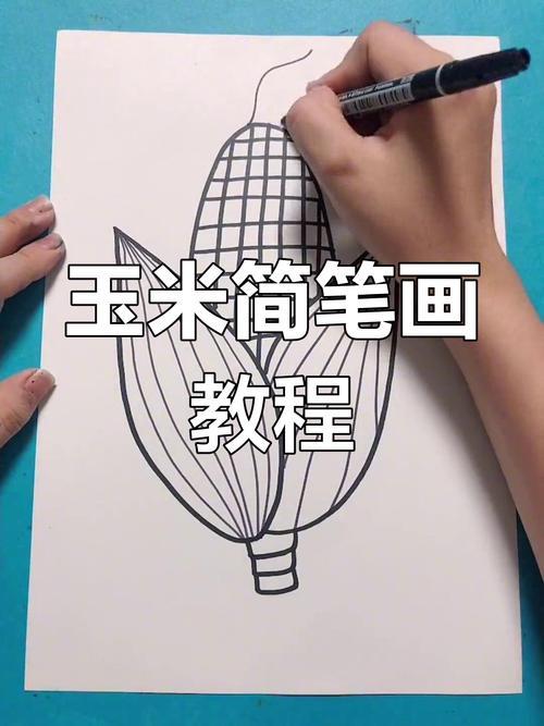 简单步骤教你画玉米轻松上手